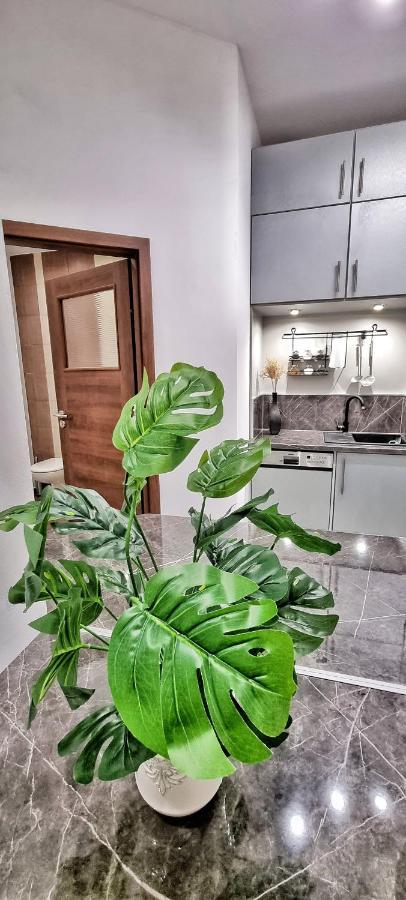 Apartament Kaczyniec 10 Gliwice Exteriör bild